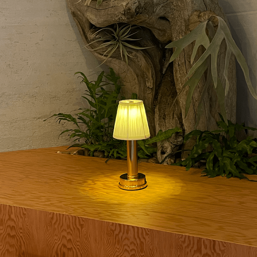 Adjustable brightness lamp