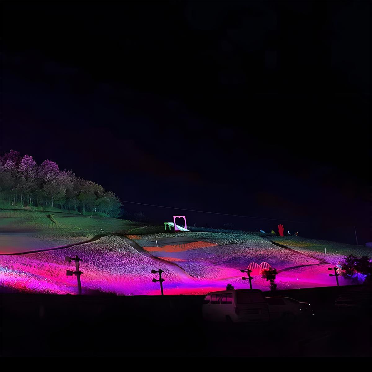 Outdoor Waterproof RGB LED Spot Light Landscape Tree Lighting Multi-purpose