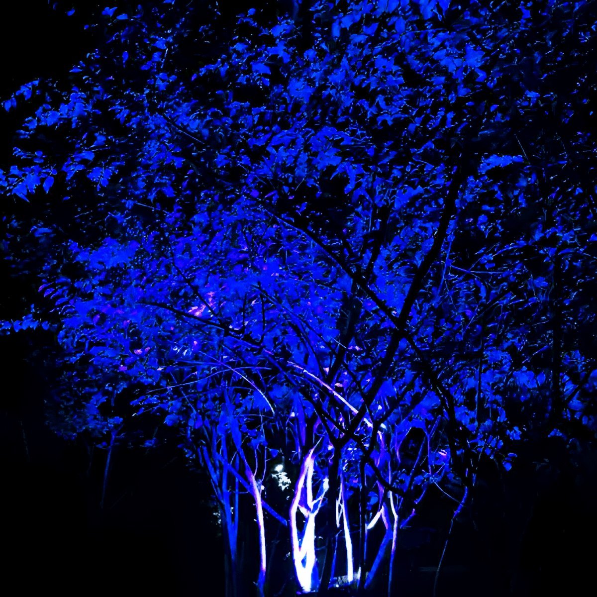 Outdoor Landscape Waterproof RGB Tree Spot Light